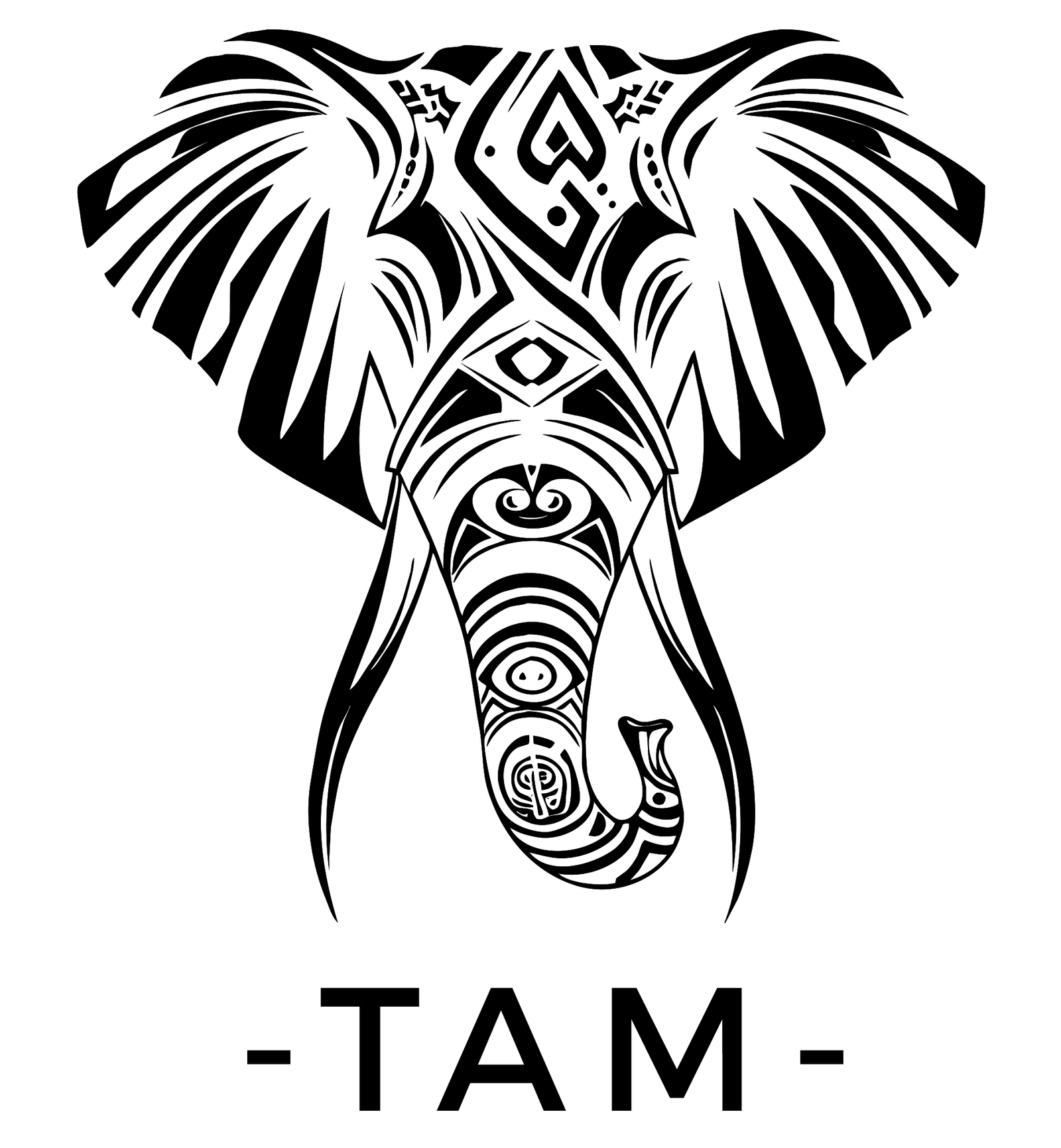 cropped-LOGO-TAM-CI-NOIR-SANS-FOND.png